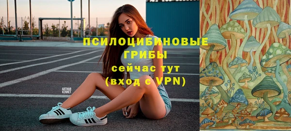 синтетический гашиш Бородино