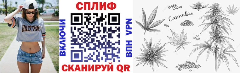 Каннабис планчик  Купить где  Михайлов 
